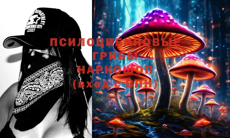 Псилоцибиновые грибы Magic Shrooms  Грайворон 